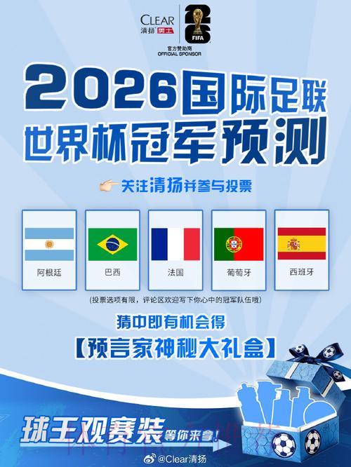 2026世界杯官方合作平台全面解读
